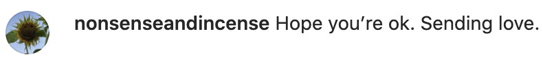 Instagram comment from nonsenseandincense account with flower emoji profile picture