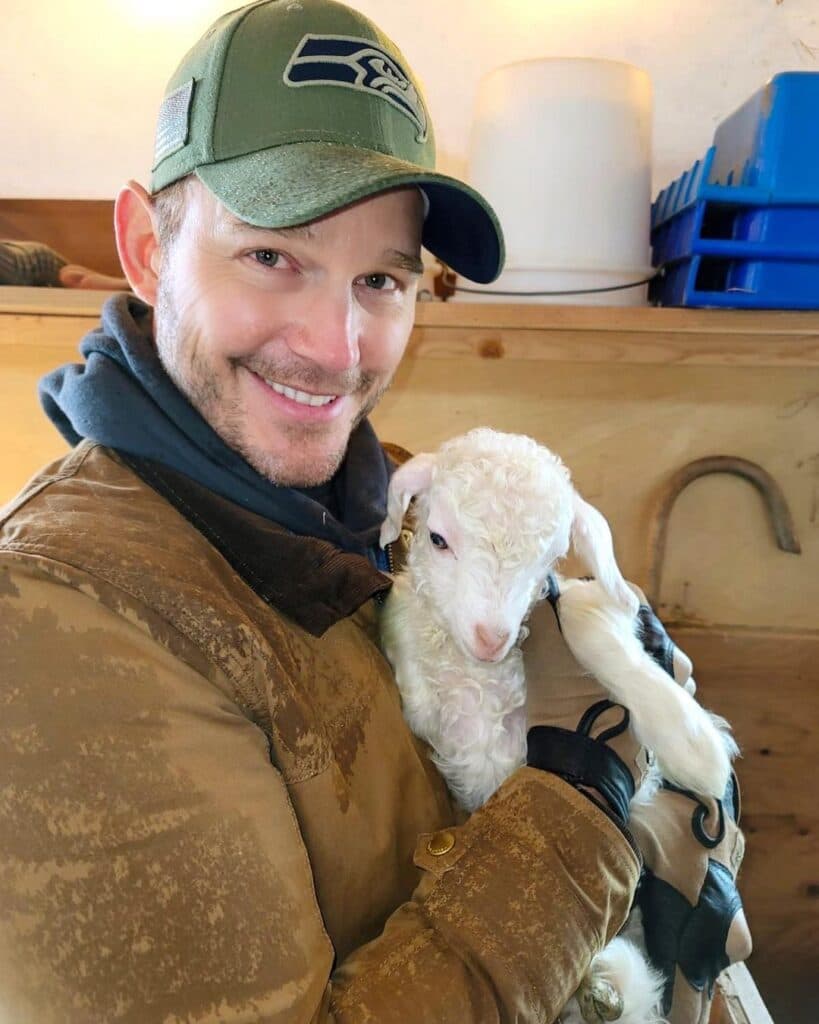 Chris Pratt nails his feelings about the Met Gala in a perfect, crusty picture