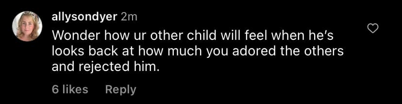 Instagram comment from allysondyer criticizing parenting choices