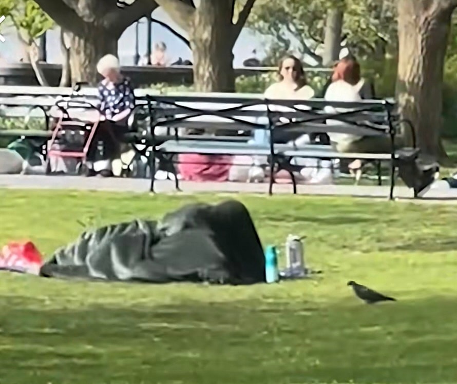 MarkBeshae on TikTok