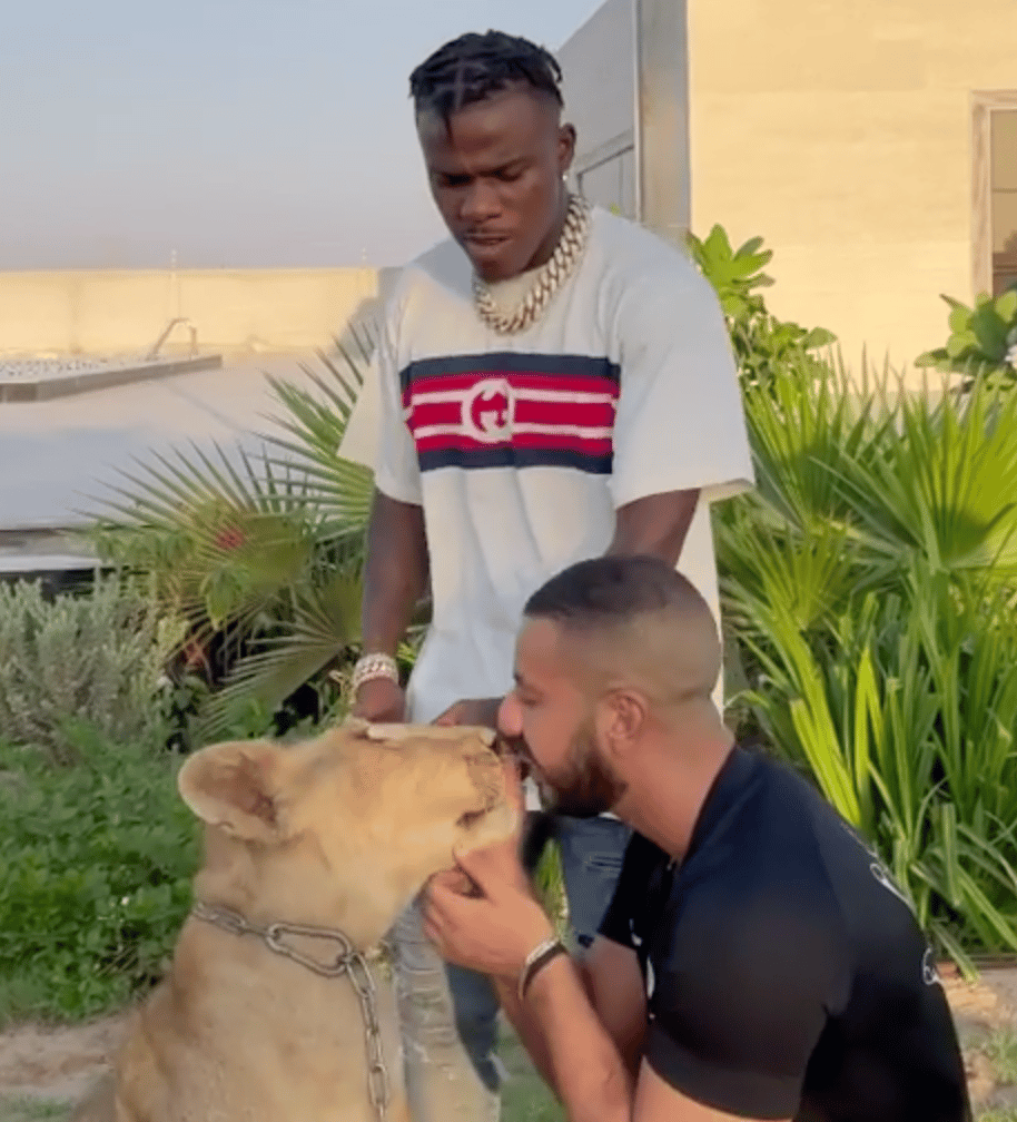 Rapper DaBaby Bottle Feeds Massive Tigers, ‘I’m The Real Tiger King!’