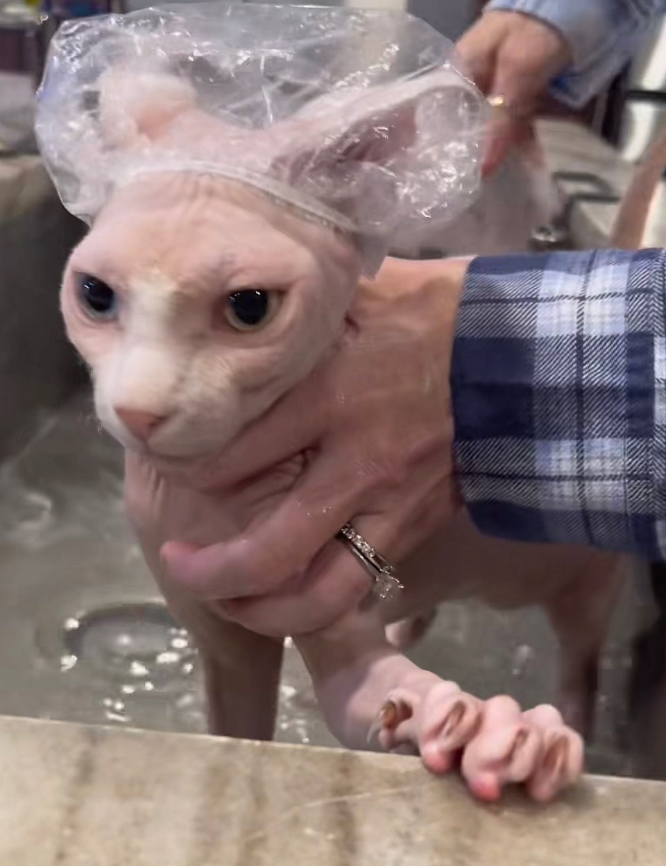 Nudacris gets a bath