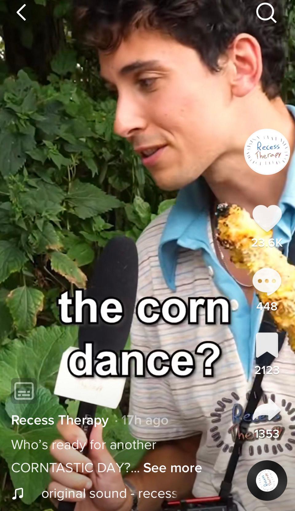 Recess Therapy on TikTok