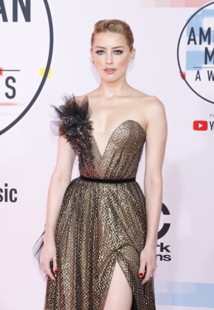 Amber Heard Secretly Welcomes Newborn Baby