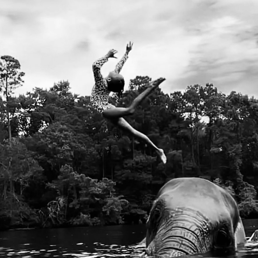 Chris Brown's Daughter Was In DANGER Riding Elephant, PETA Wants Investigation