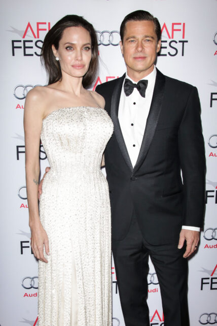 Brad Pitt Challenges Angelina Jolies' Victory In Child Custody Case