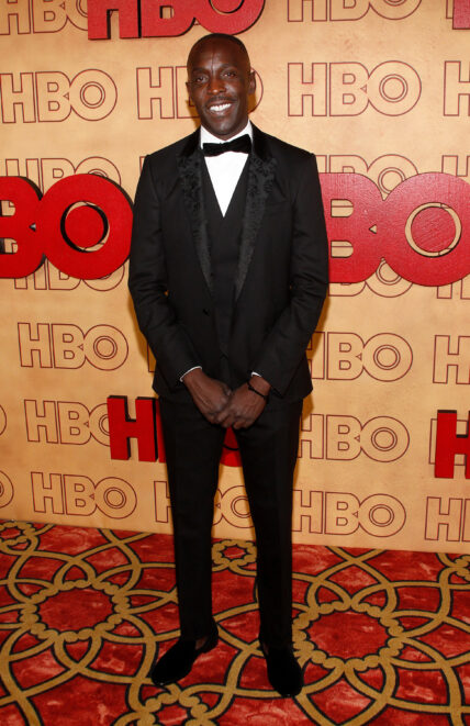 ‘The Wire’ Star Michael K. Williams Shocking Official Cause Of Death Revealed