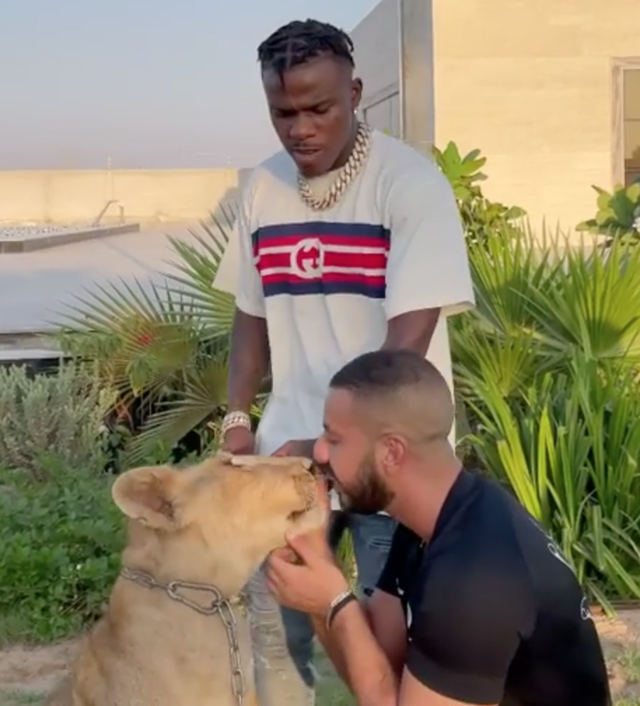 Rapper DaBaby Bottle Feeds Massive Tigers, ‘I’m The Real Tiger King!’