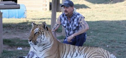 ‘Tiger King’ Star Joe Exotic To Cardi B: Be My Voice Of Freedom!