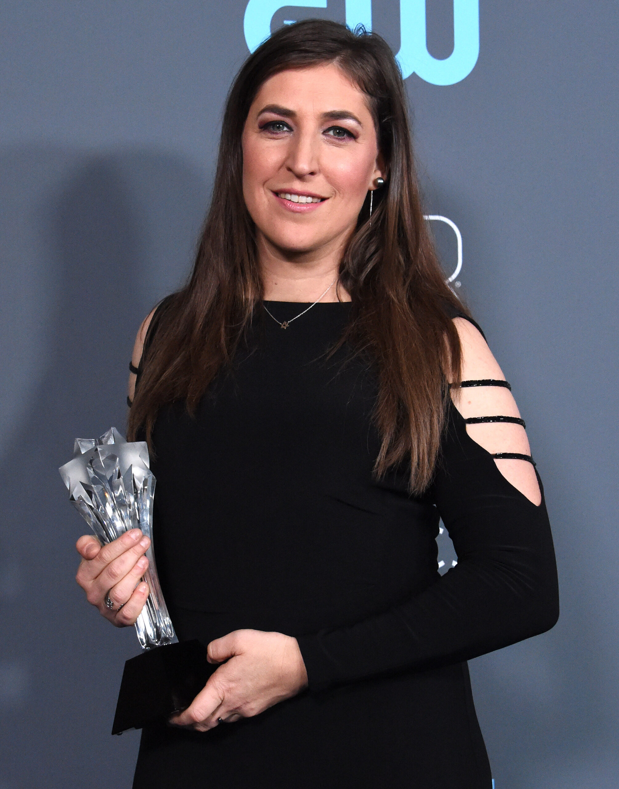 Mayim Bialik at the 23rd Annual Critics' Choice Awards held at the Barker Hangar on January 11, 2018 in Santa Monica, CA ©Tammie Arroyo/AFF-USA.com. 11 Jan 2018 Pictured: Mayim Bialik. Photo credit: MEGA TheMegaAgency.com +1 888 505 6342 (Mega Agency TagID: MEGA144151_005.jpg) [Photo via Mega Agency]