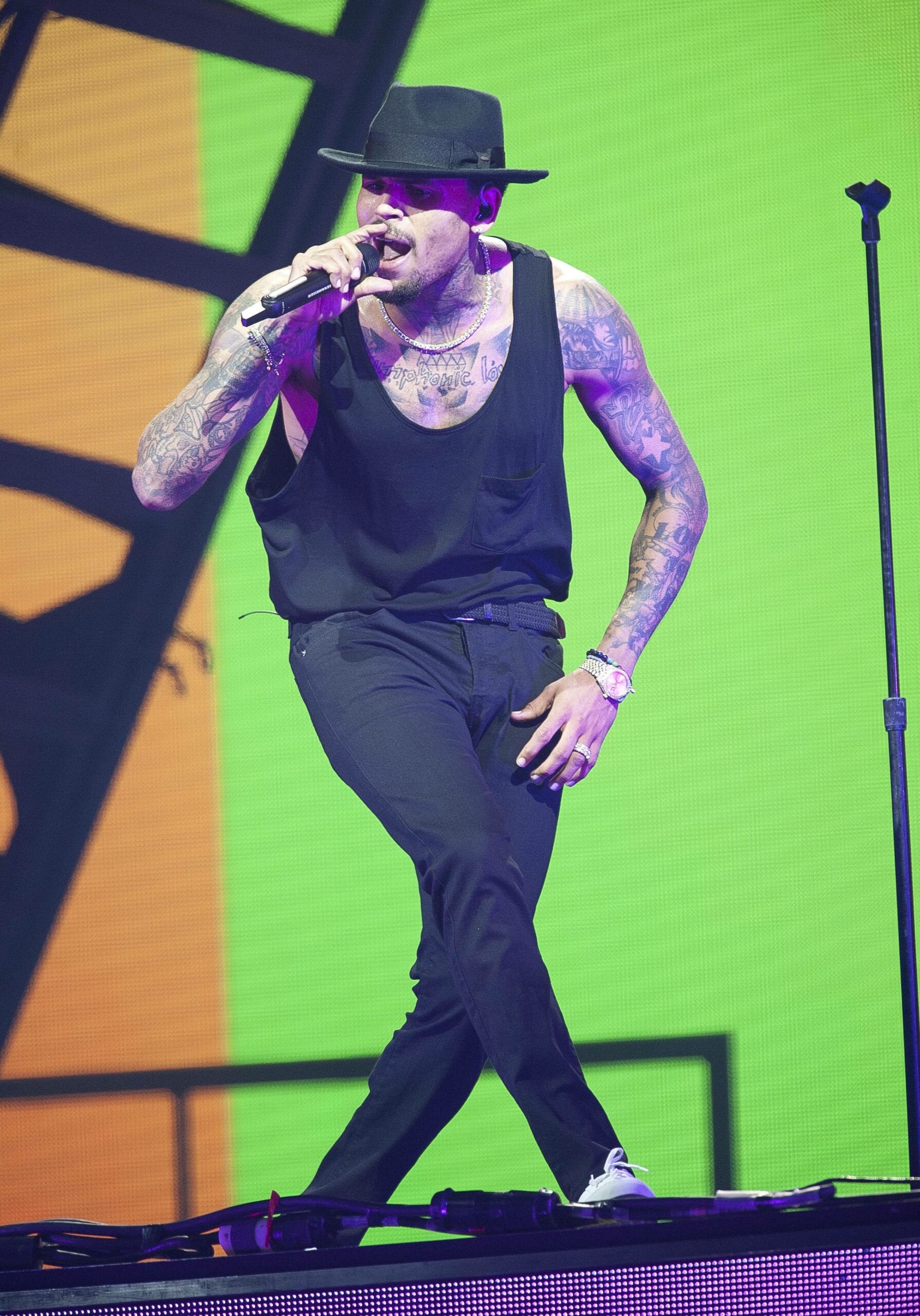 Chris Brown’s Alleged Dog Bite Victim’s Family Seeking Over $1 MILLION In Damages