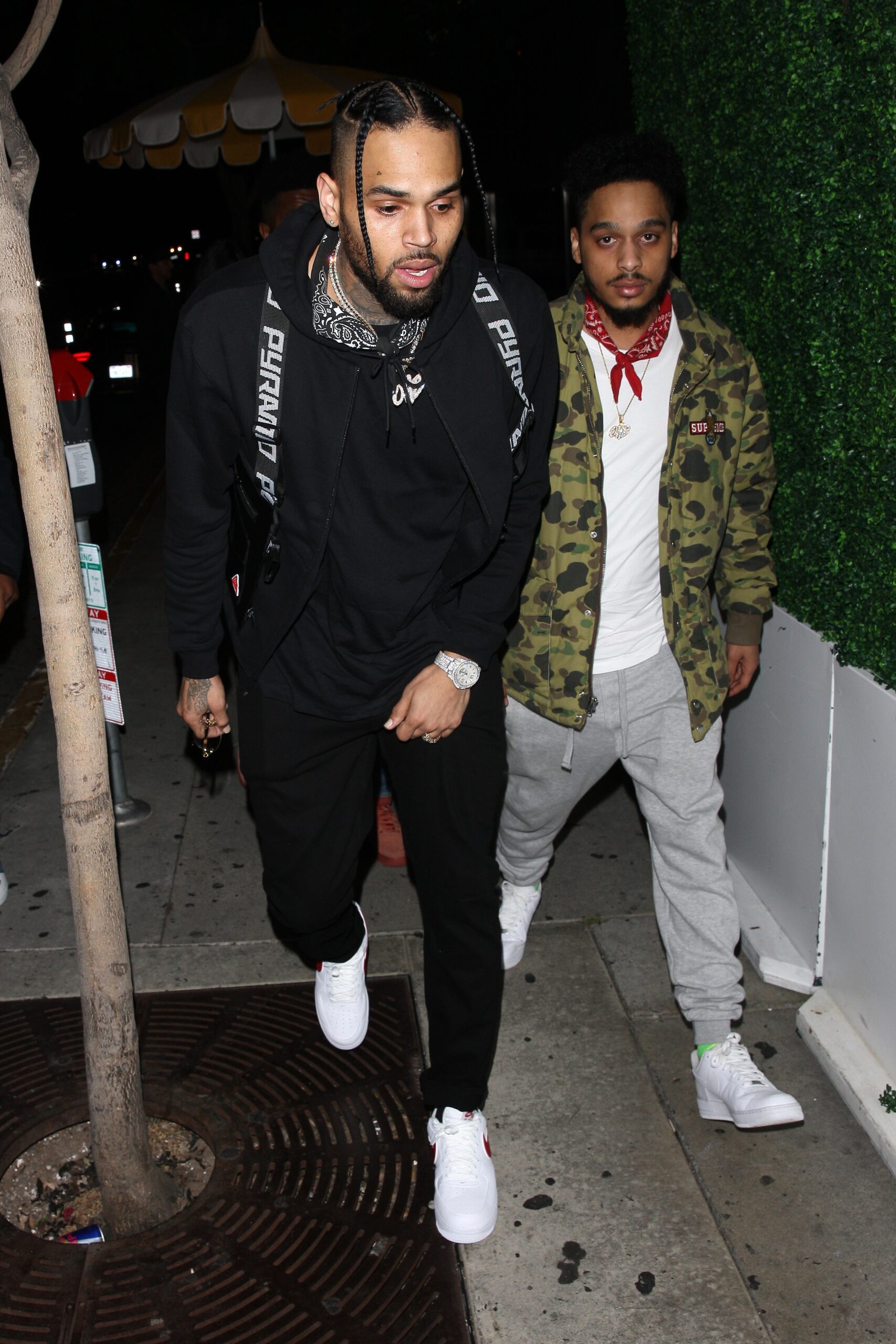 Chris Brown’s Alleged Dog Bite Victim’s Family Seeking Over $1 MILLION In Damages