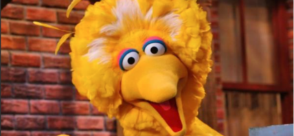 Big Bird smiling