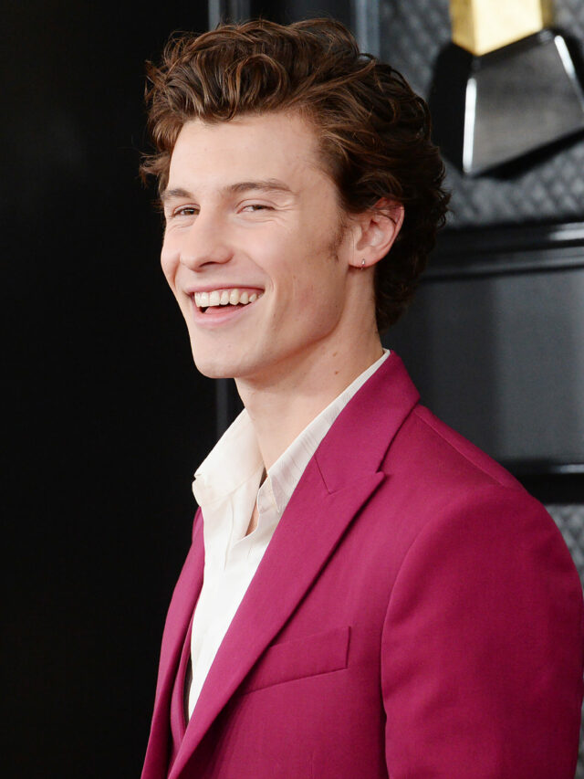 62nd Annual Grammy Awards - Arrivals