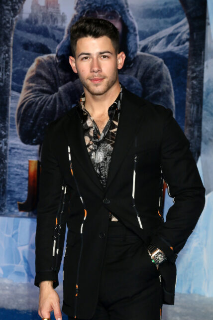 Nick Jonas at "Jumanji: The Next Level" Premiere - Los Angeles