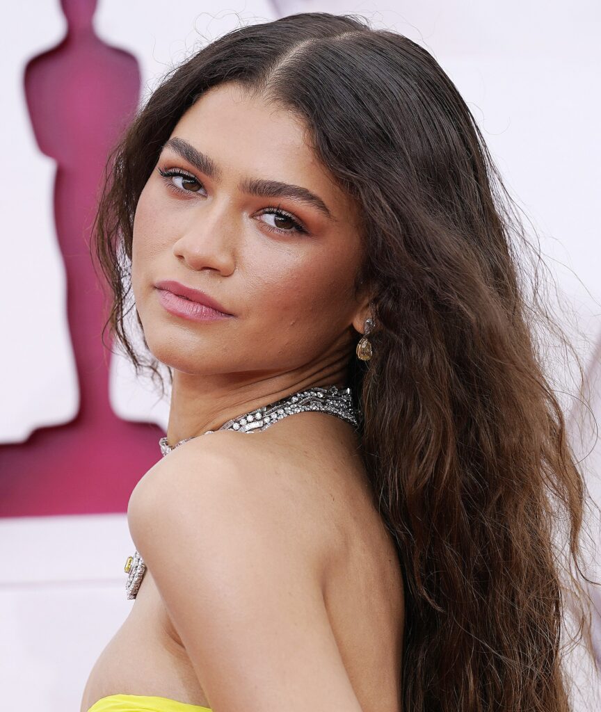 The 93rd Annual Academy Awards - Arrivals
