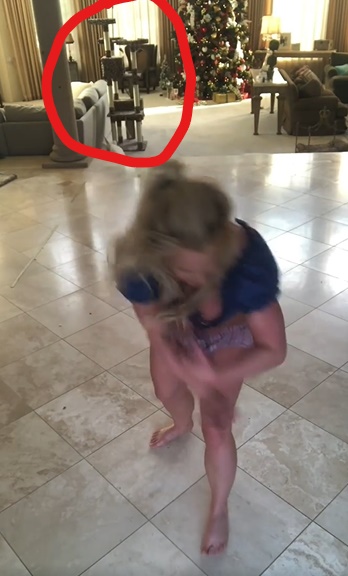 Britney Spears Cat Tree