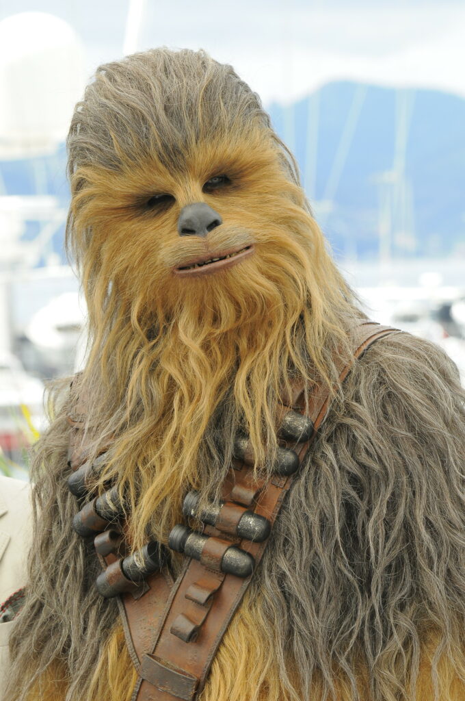 Solo a Star Wars Story photocall during the 71st Cannes Film Festival 2018