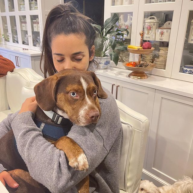 Aly Raisman dog