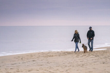 Joe Biden takes his new puppy Commander to the beach