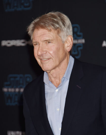 Harrison Ford at the Premiere Of Disney's "Star Wars: The Rise Of Skywalker" - Arrivals