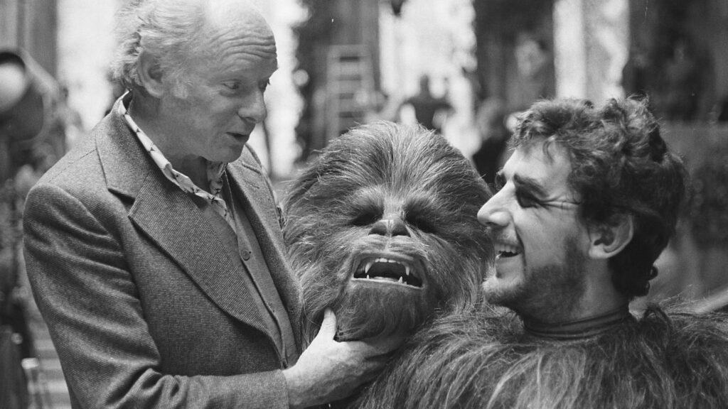 Peter Mayhew as Chewbacca