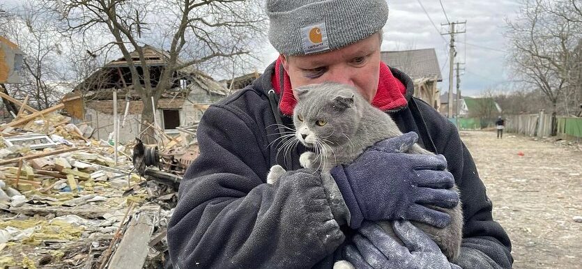Ukrainian Man Finds Cat Alive In Rubble Of Shelled House Outside Kyiv