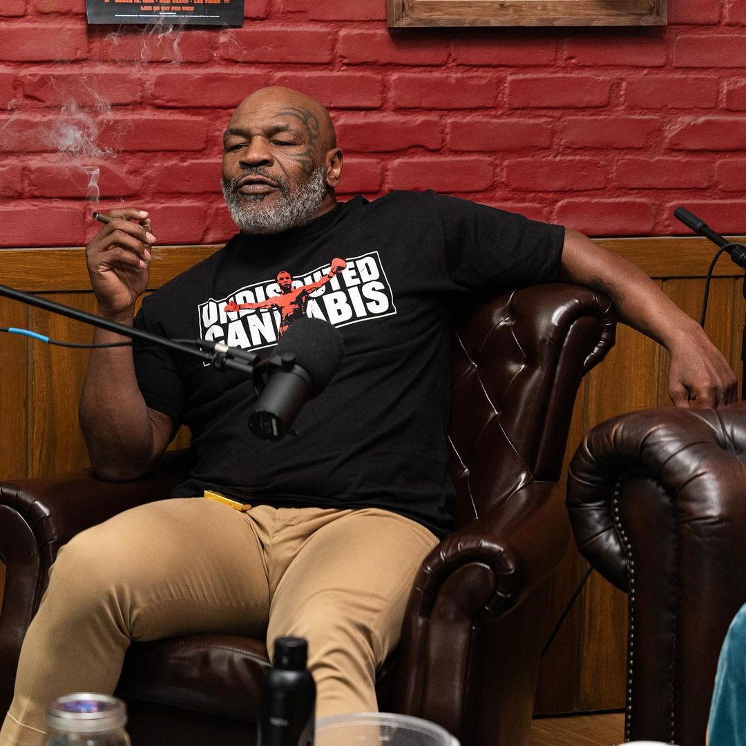 Mike Tyson goes ballistic on passenger, bloodies face