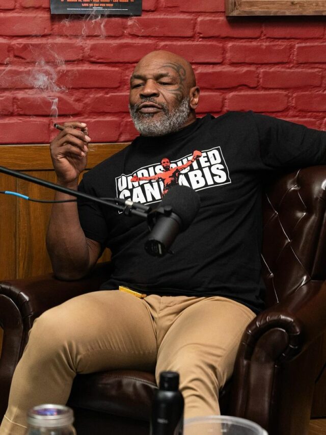 Mike Tyson goes ballistic on passenger, bloodies face