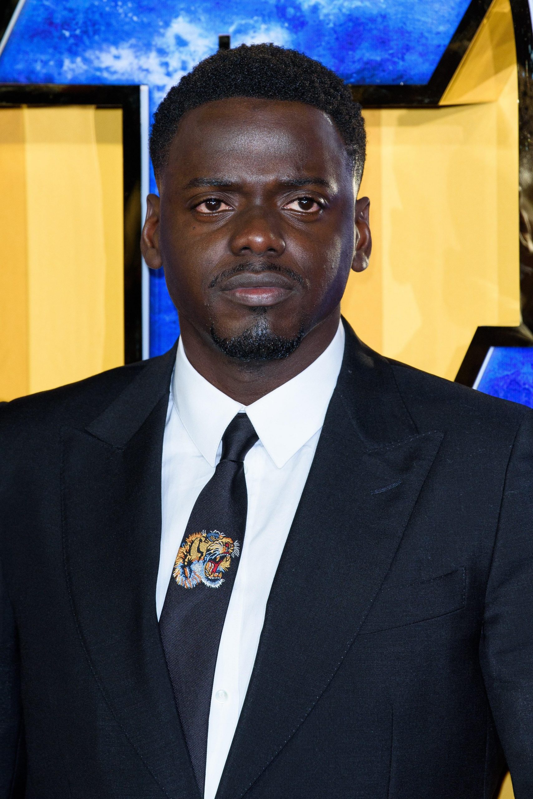 apos Black Panther apos European Premiere