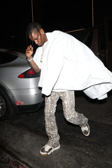 Travis Scott goes to the Nice Guy restaurant to party with friends