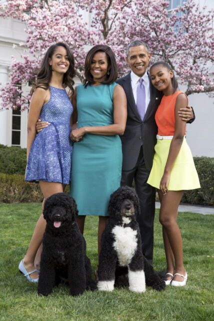 President Barack Obama, First Lady Michelle Obama, and daughters Malia and Sasha pose for a family portrait with Bo and Sunny in the Rose Garden of the White House on Easter Sunday, April 5, 2015.