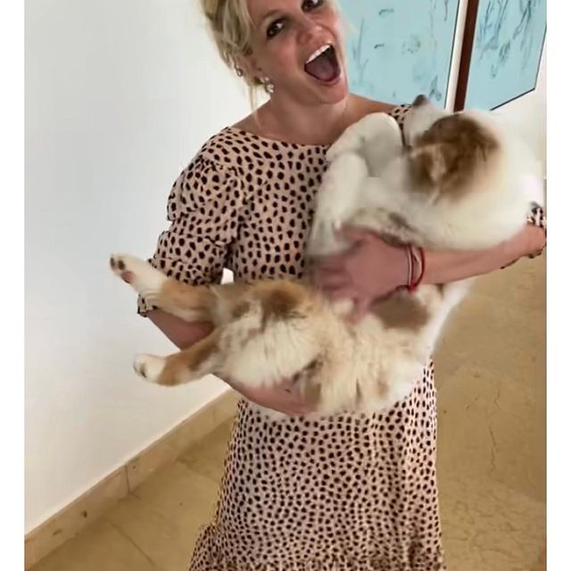 Britney Spears and Sawyer