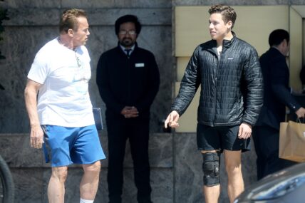 Arnold Schwarzenegger Dragged Into $1 Million Lawsuit Over Son's Car Accident