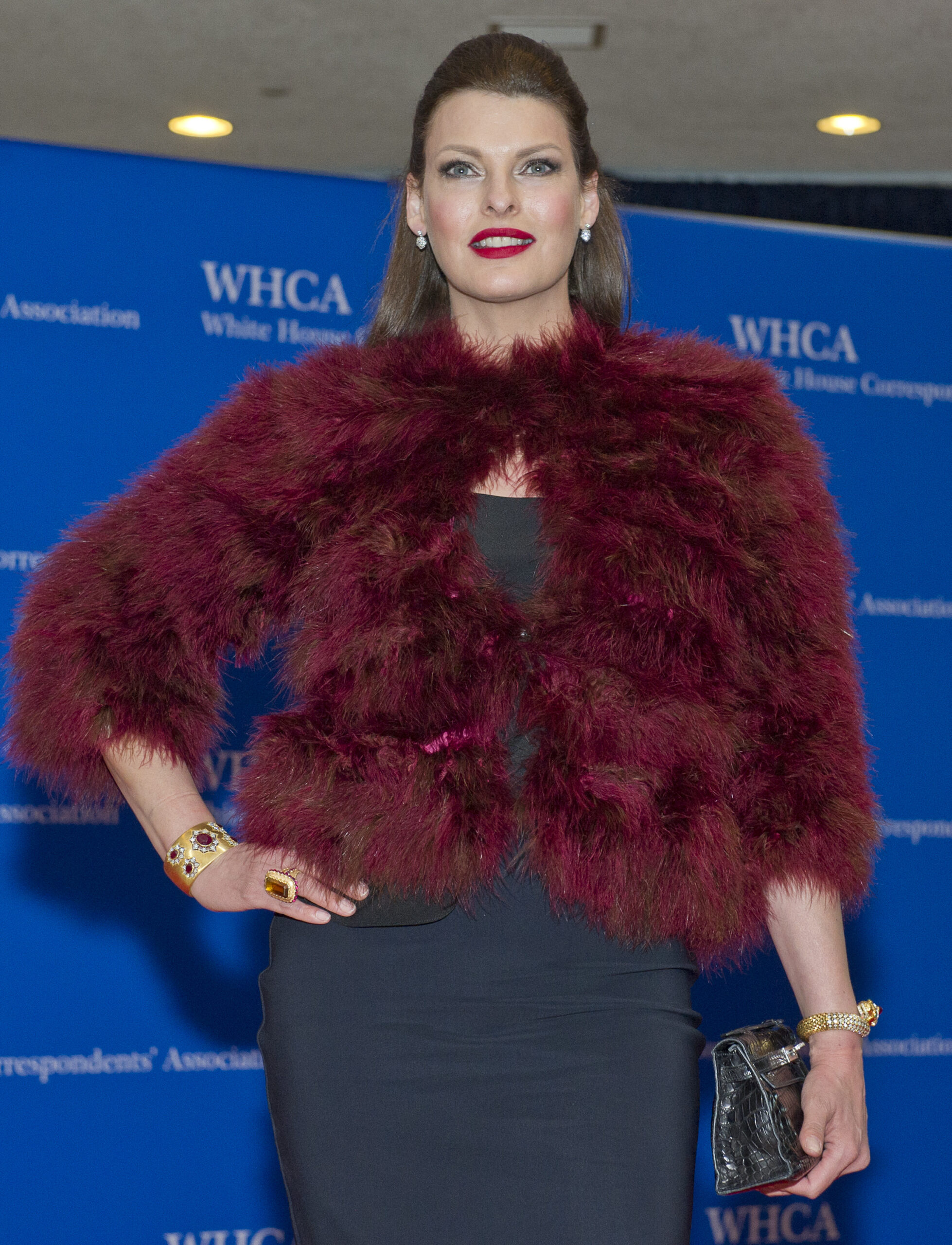 2014 White House Correspondents Dinner arrivals