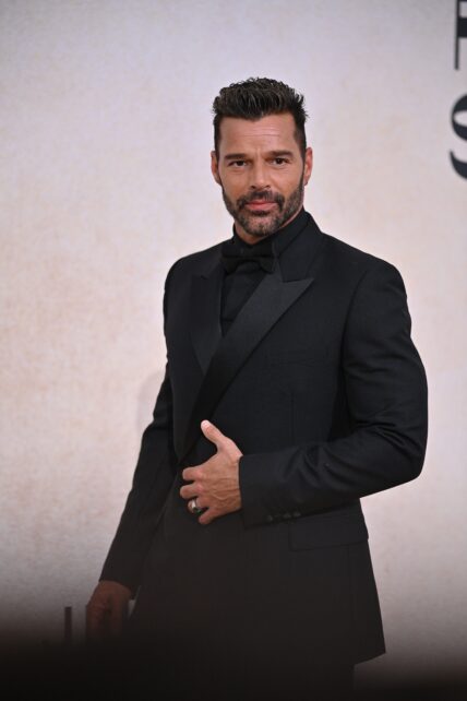 Ricky Martin denies all allegations of incest and domestic violence