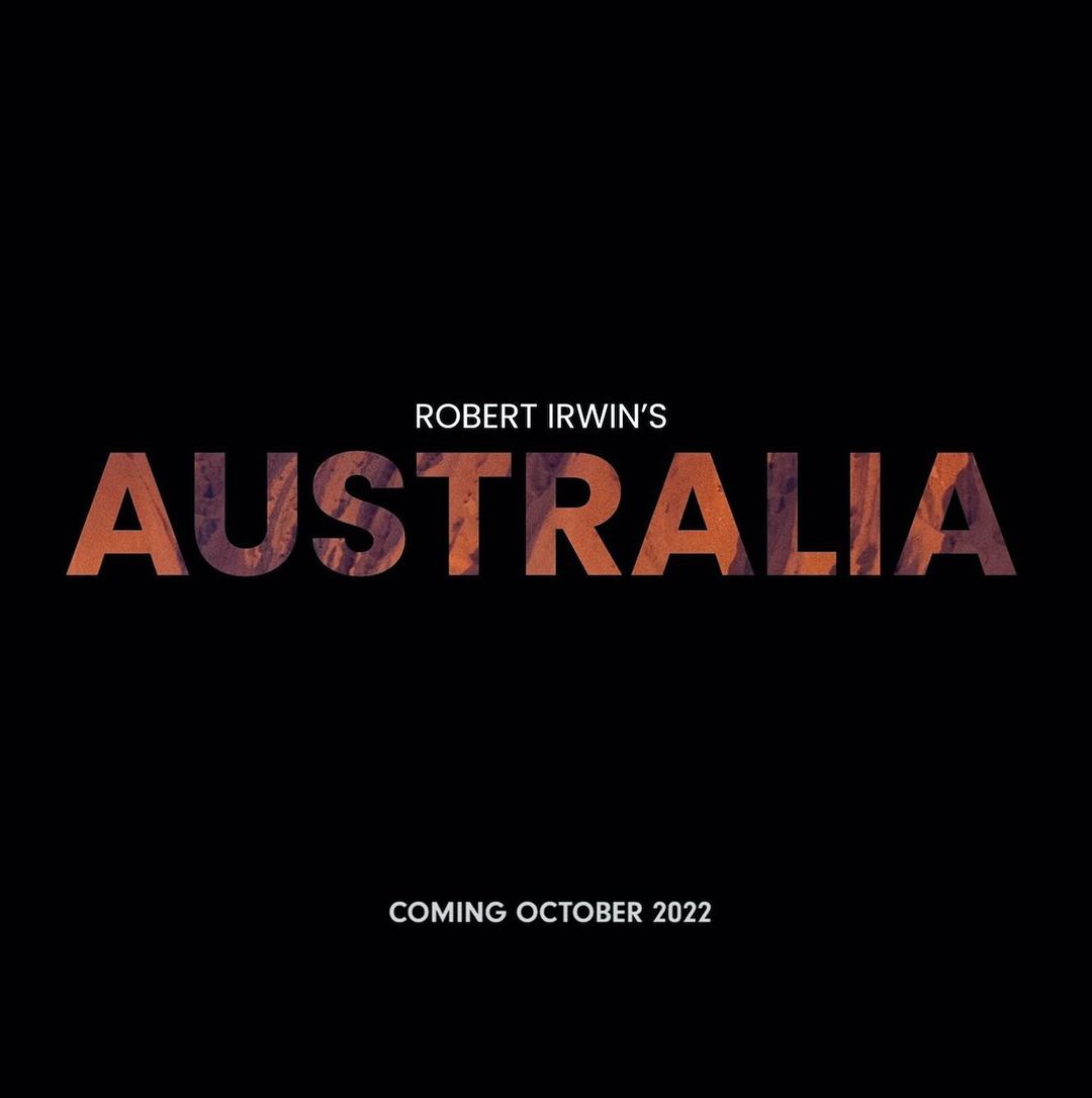 Robert Irwin's new project