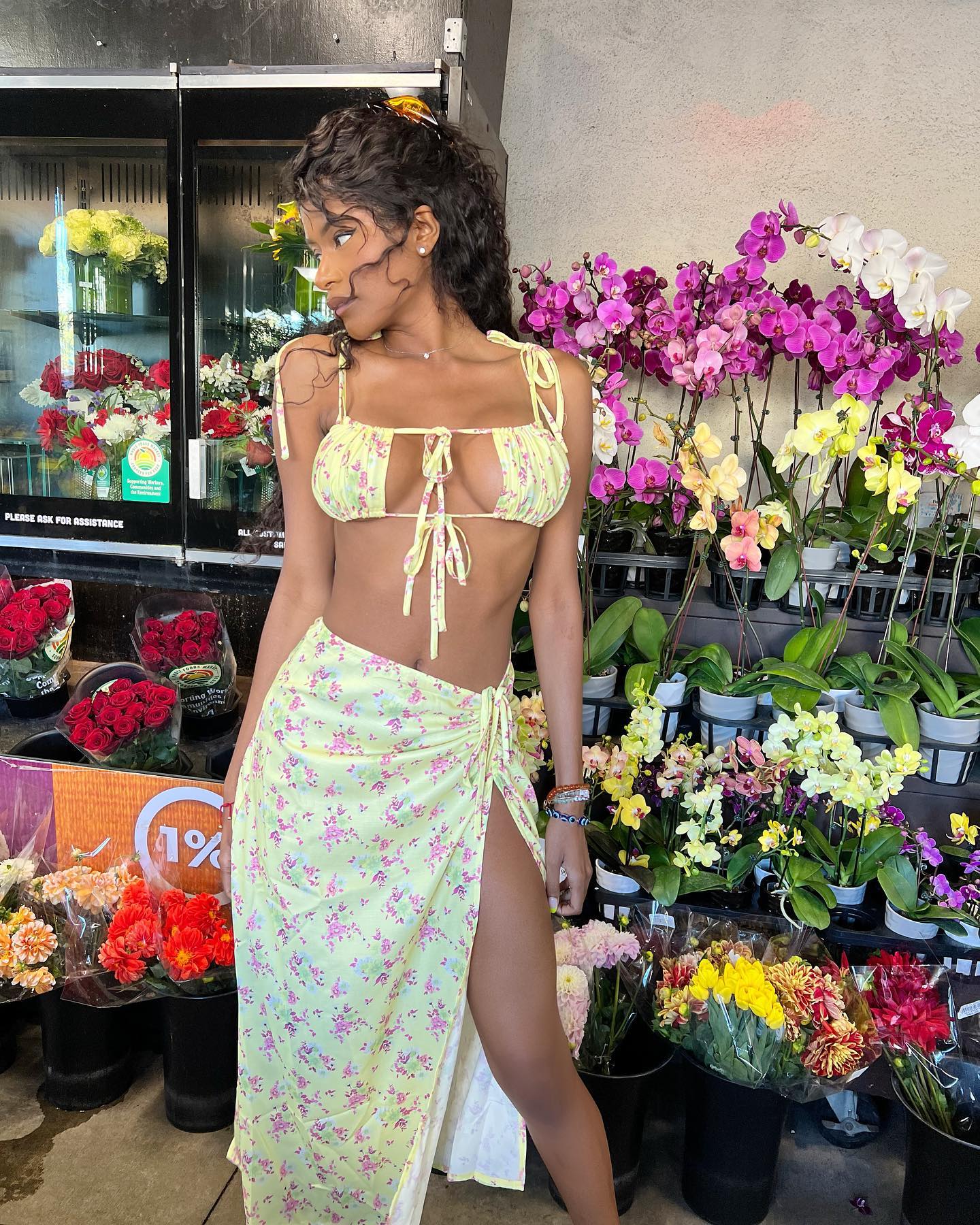 Elle Monae in revealing dress