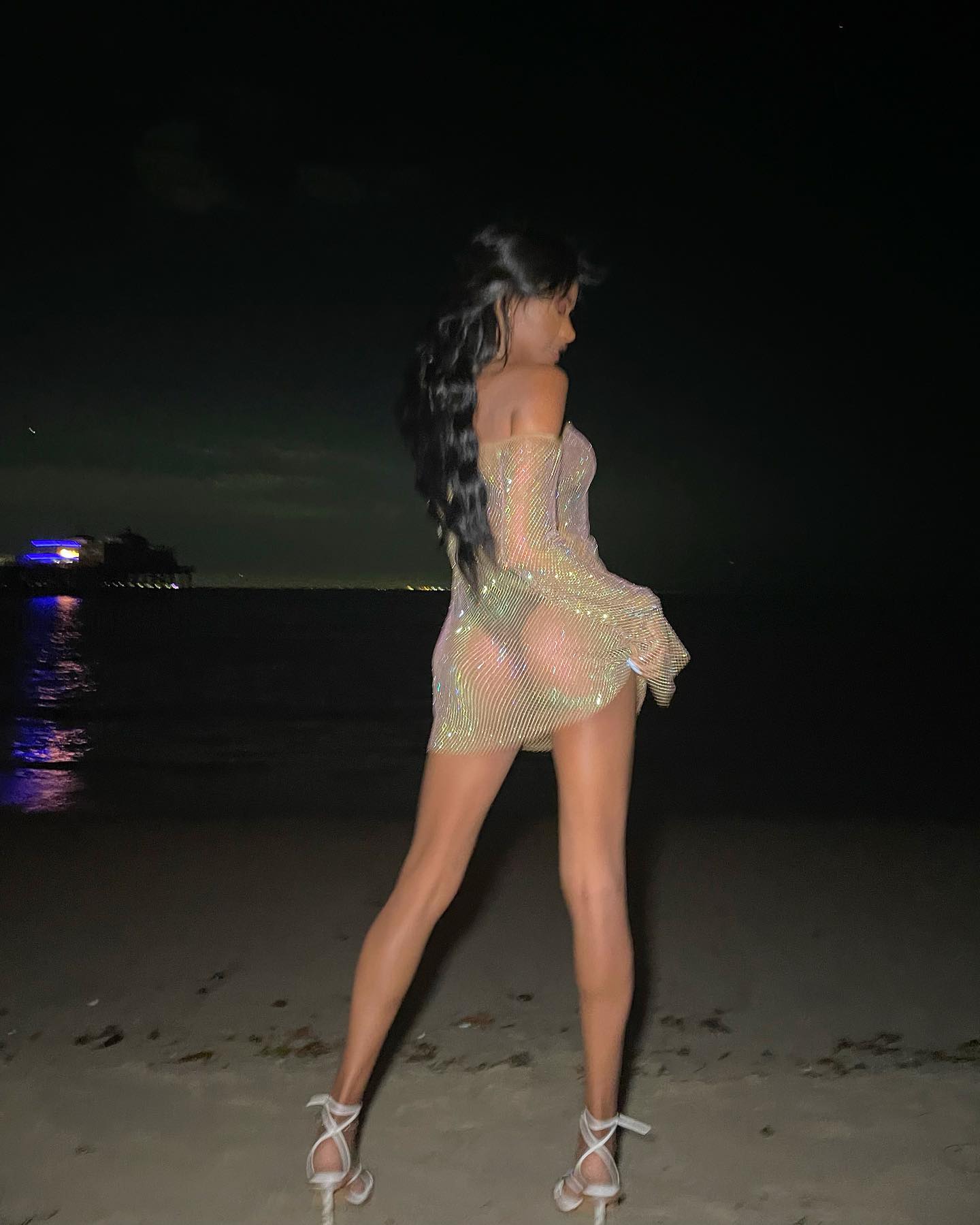 Elle Monae wears a see-through dress