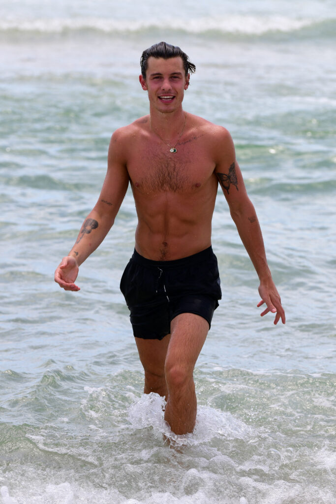 Shawn Mendes cancelled his tour