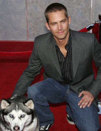 Paul Walker at World premiere of "Eight Below"