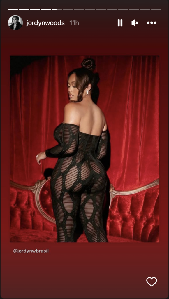 Jordyn Woods Leaves Little To The Imagination In Sheer Catsuit