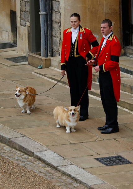 The Funeral of Queen Elizabeth II