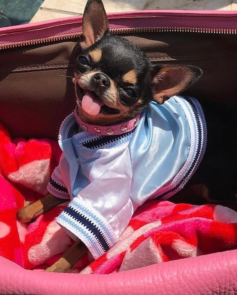 Paris Hilton's post on her Instagram page
