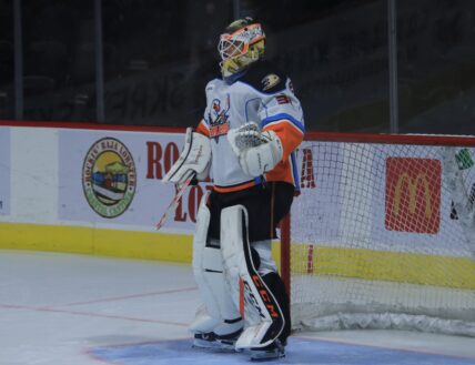 San Diego Gulls Teddy Bear toss night
