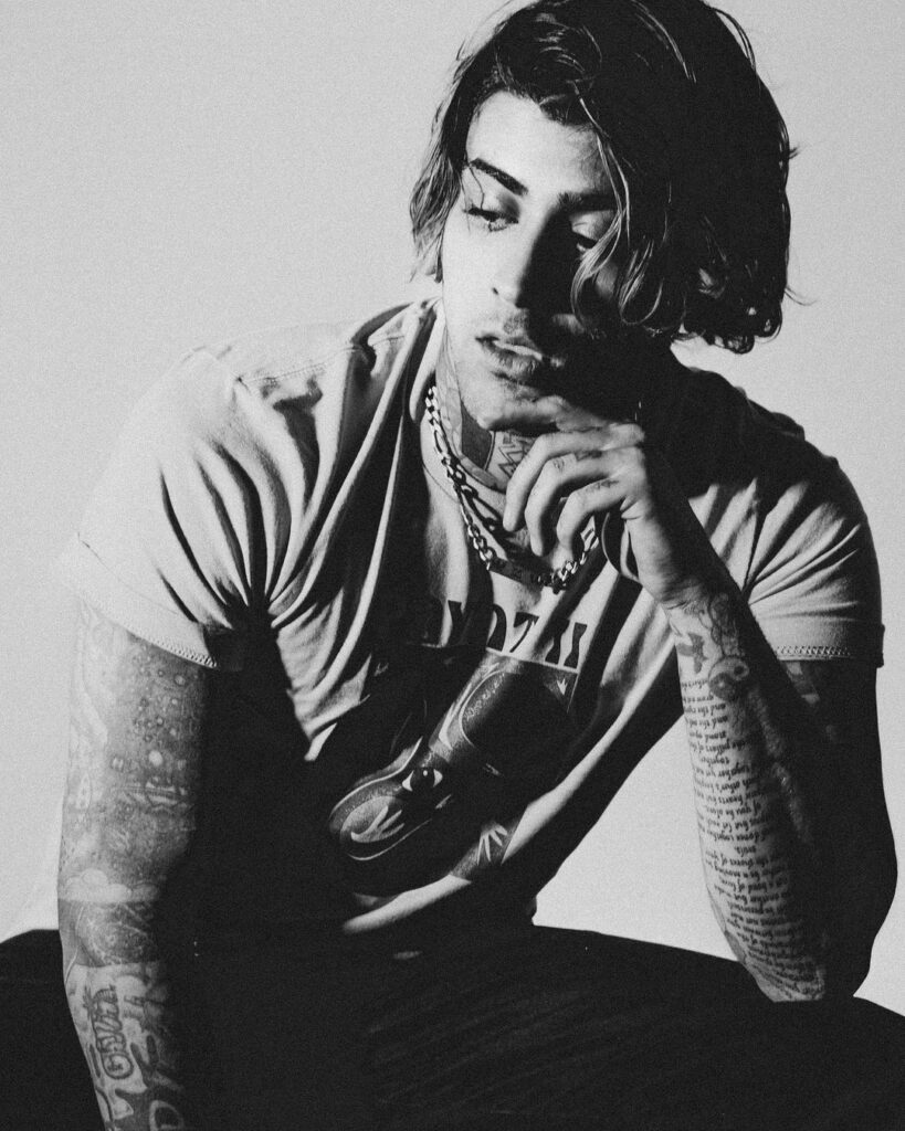 Zayn Malik's letter to British PM Rishi Sunak makes Instagram proud