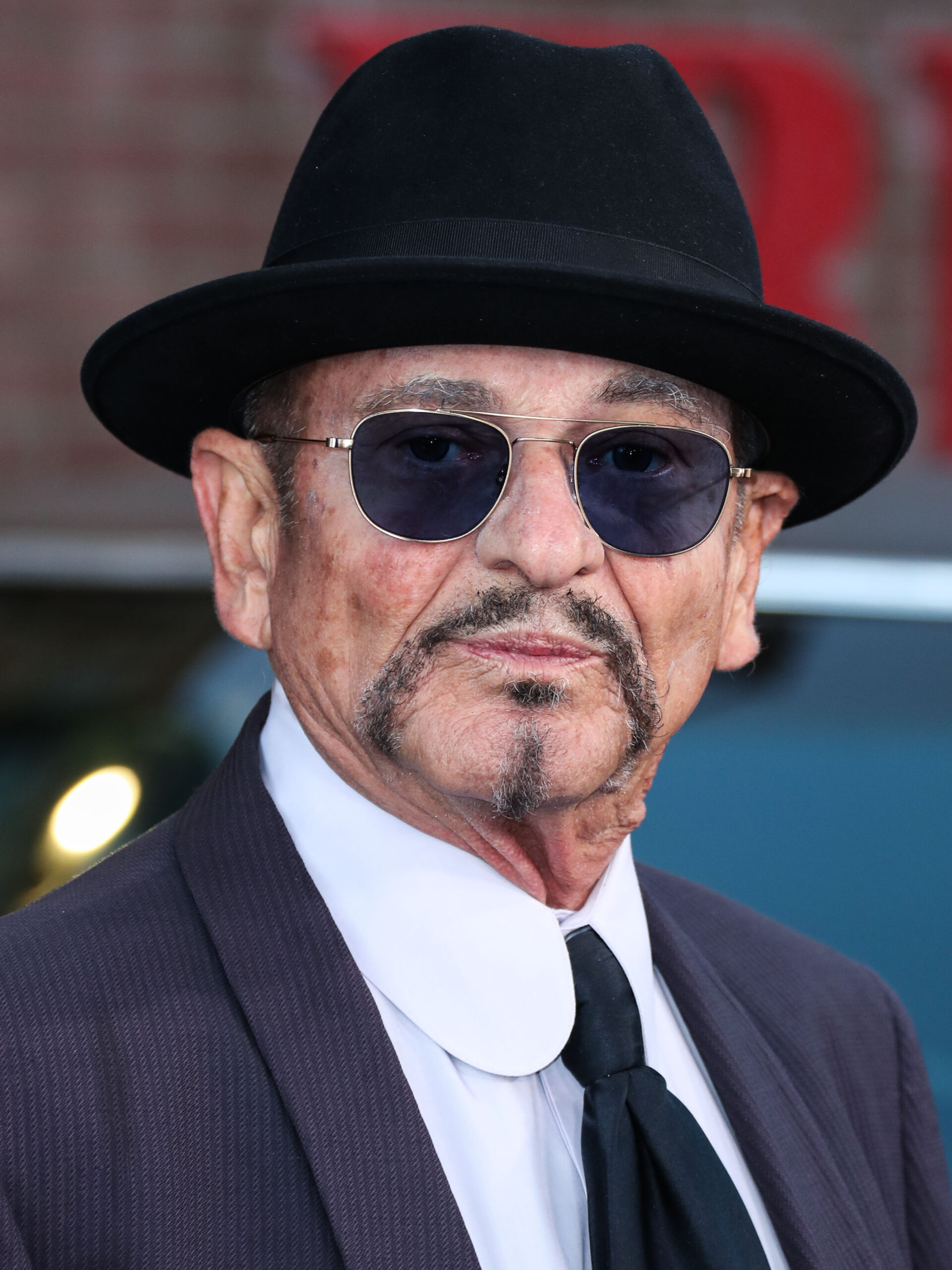 Joe Pesci Los Angeles Premiere Of Netflix's 'The Irishman'