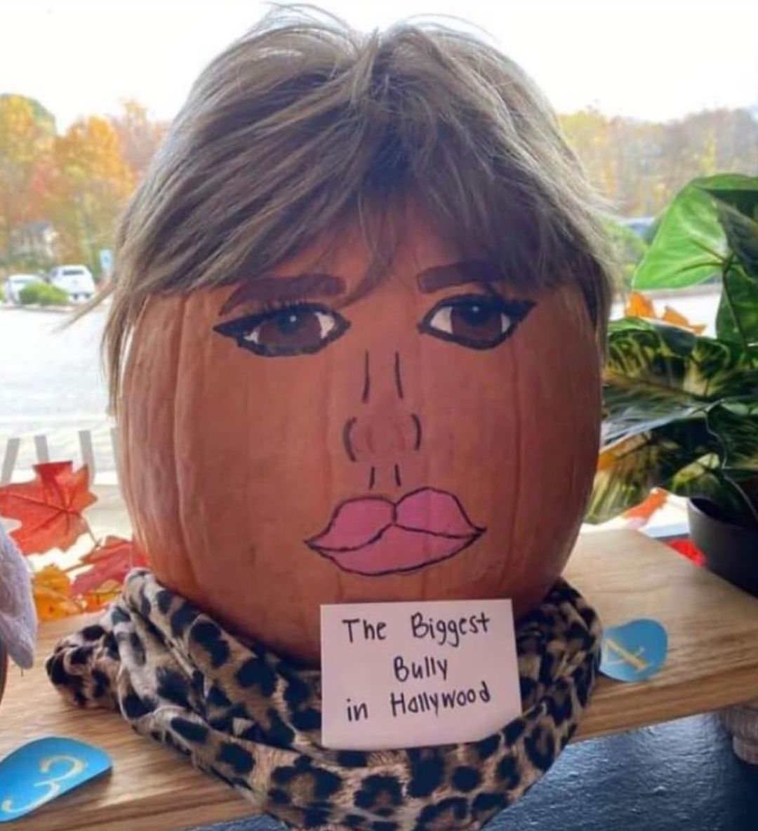 Lisa Rinna's post on her Instagram page