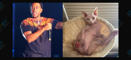 Ludacris and Nudacris