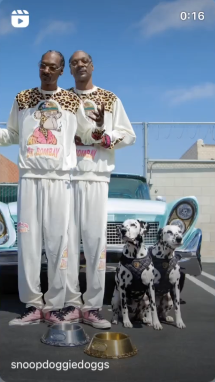 Snoop Dogg's No Discrimination Dog Clothing Launching